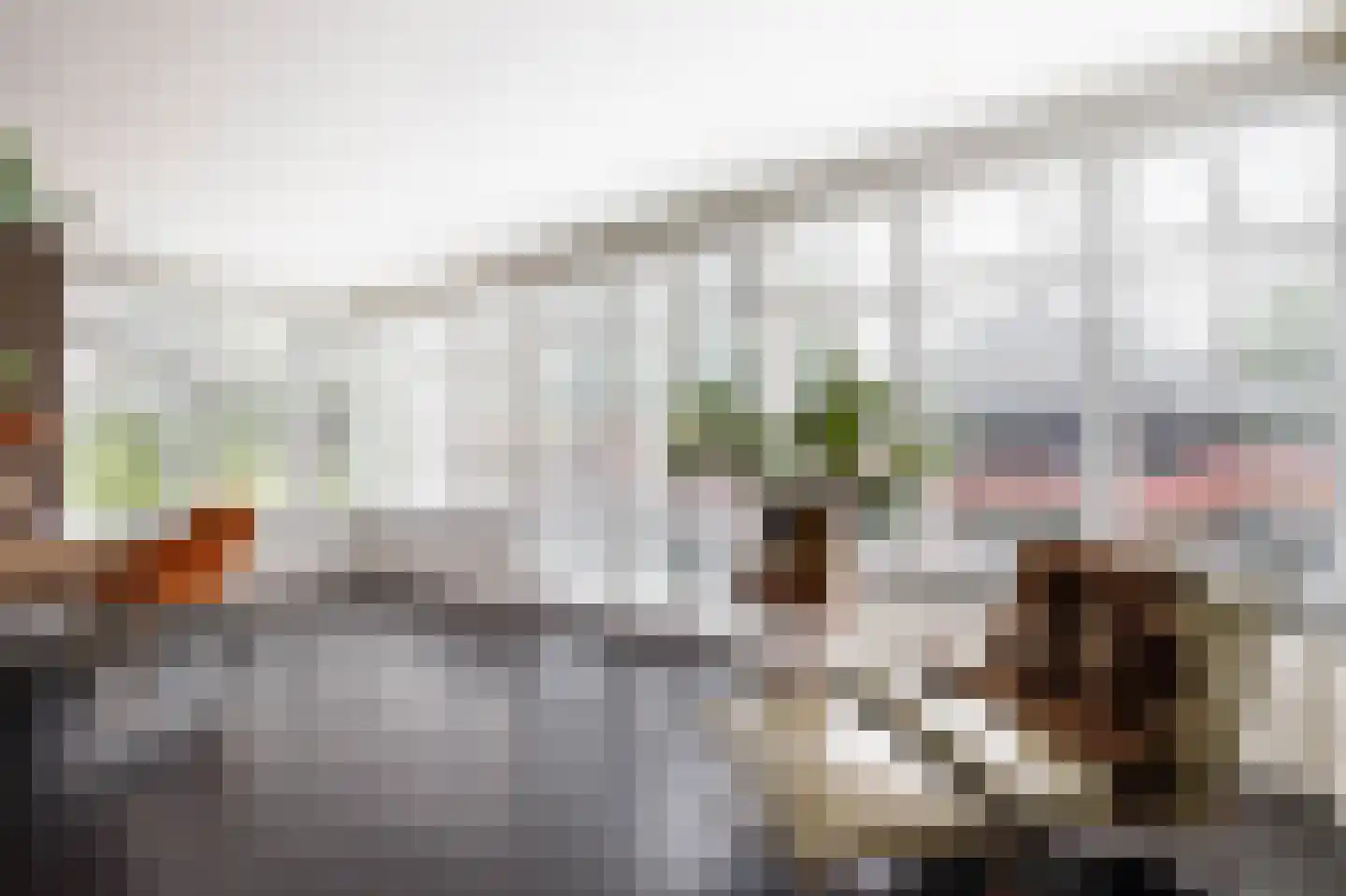 C.G. Roosweg 14 Schoonhoven thumbnail 25