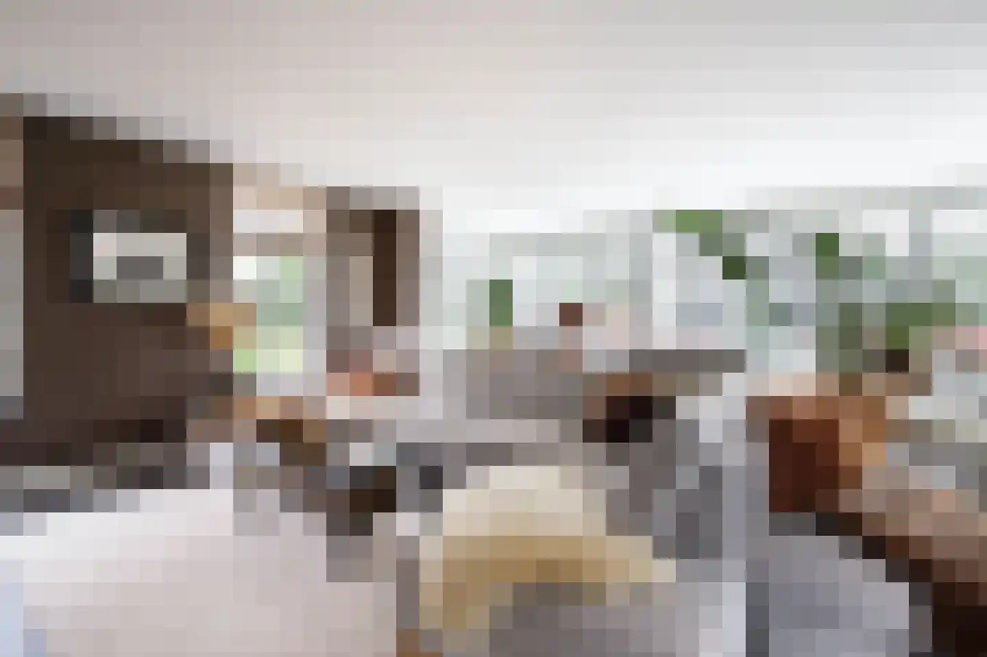 C.G. Roosweg 14 Schoonhoven thumbnail 26