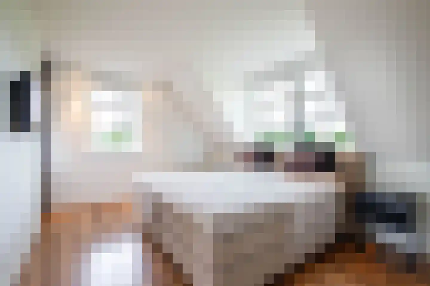 C.G. Roosweg 14 Schoonhoven thumbnail 30