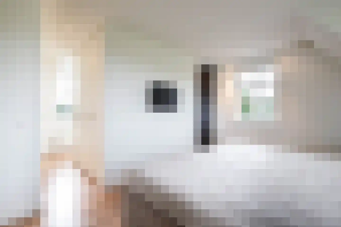 C.G. Roosweg 14 Schoonhoven thumbnail 31