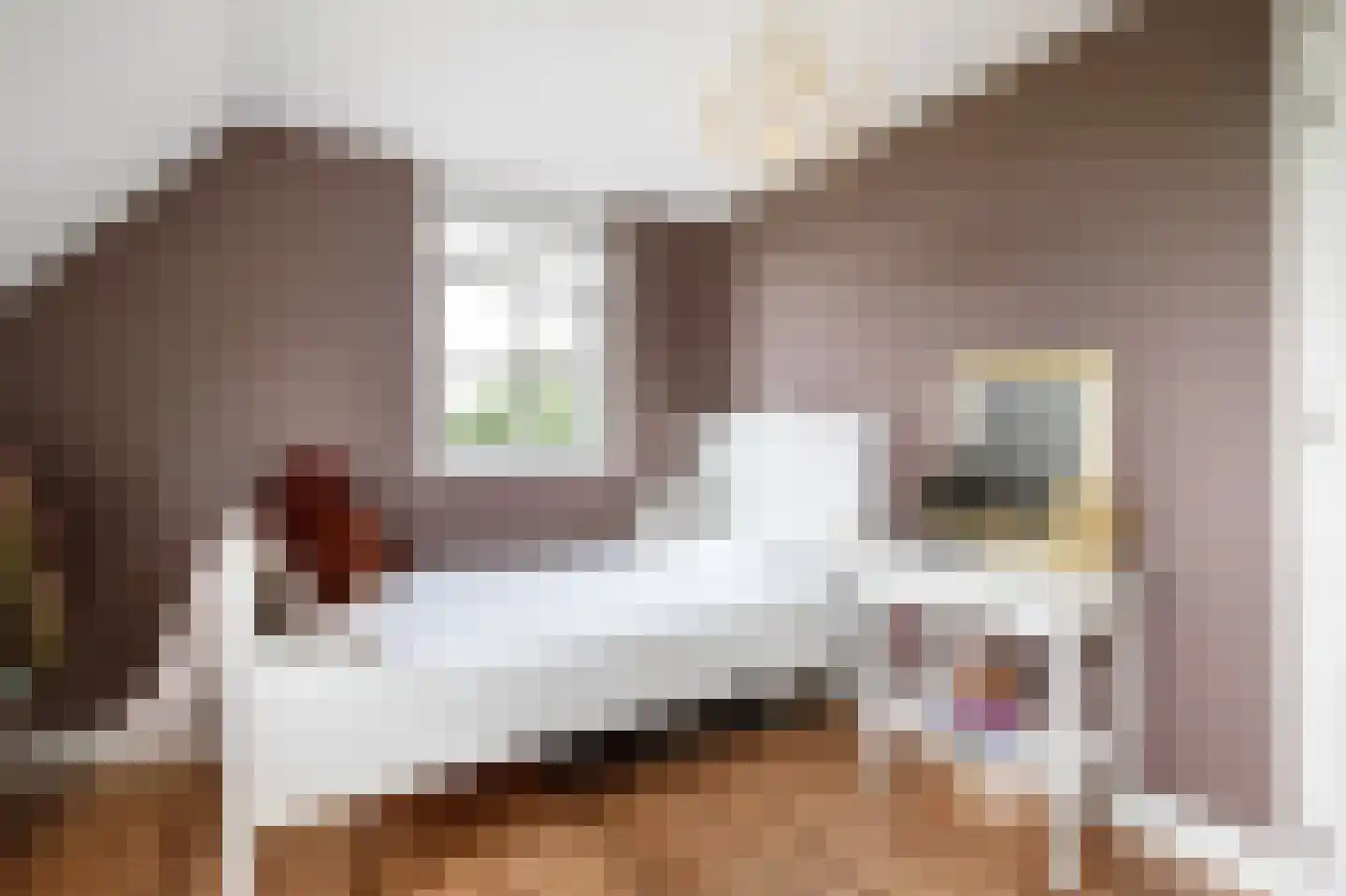 C.G. Roosweg 14 Schoonhoven thumbnail 39