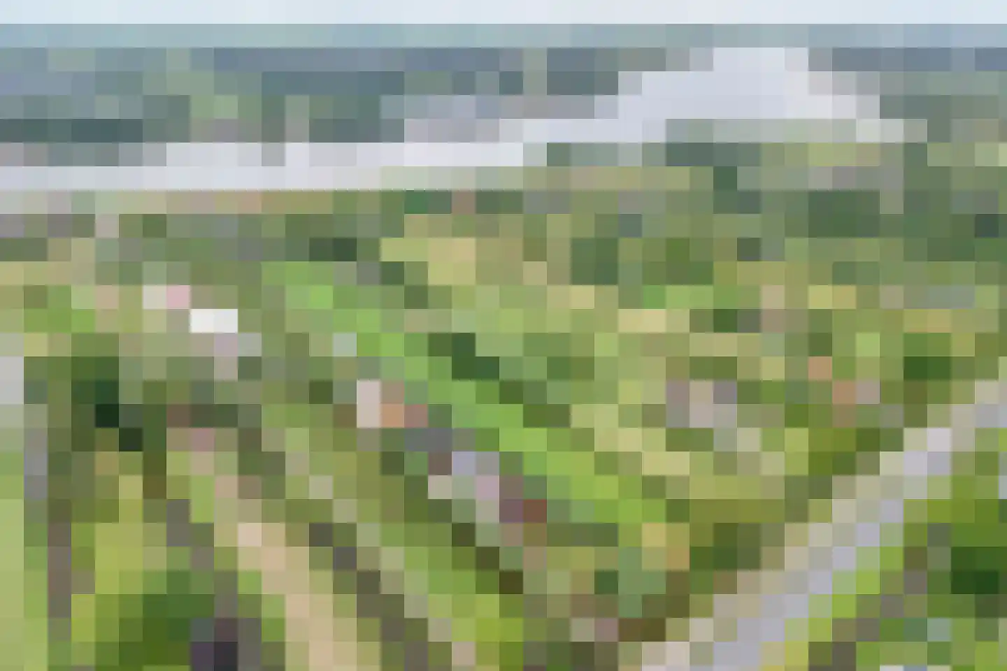 C.G. Roosweg 14 Schoonhoven thumbnail 4