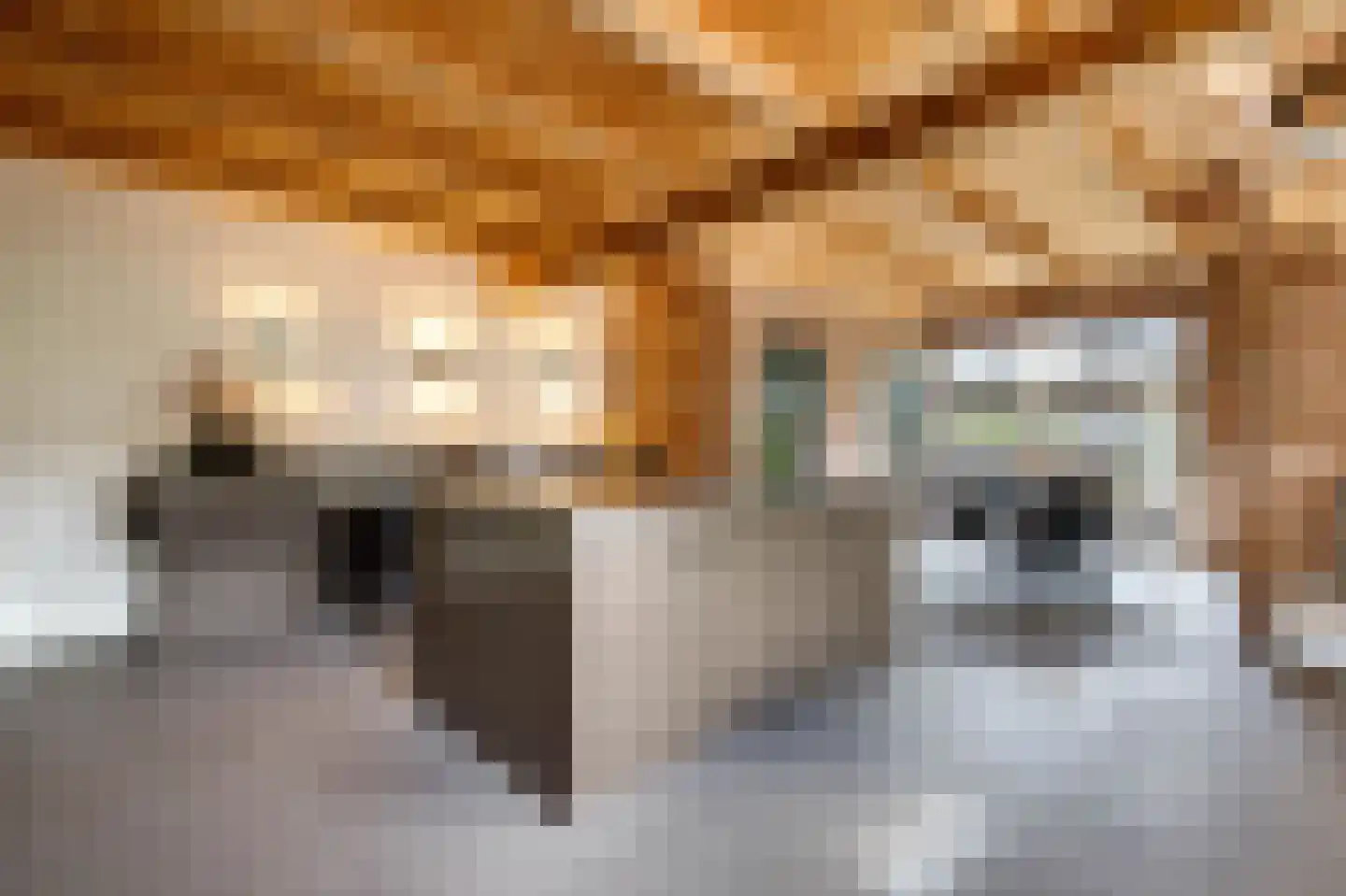 C.G. Roosweg 14 Schoonhoven thumbnail 47