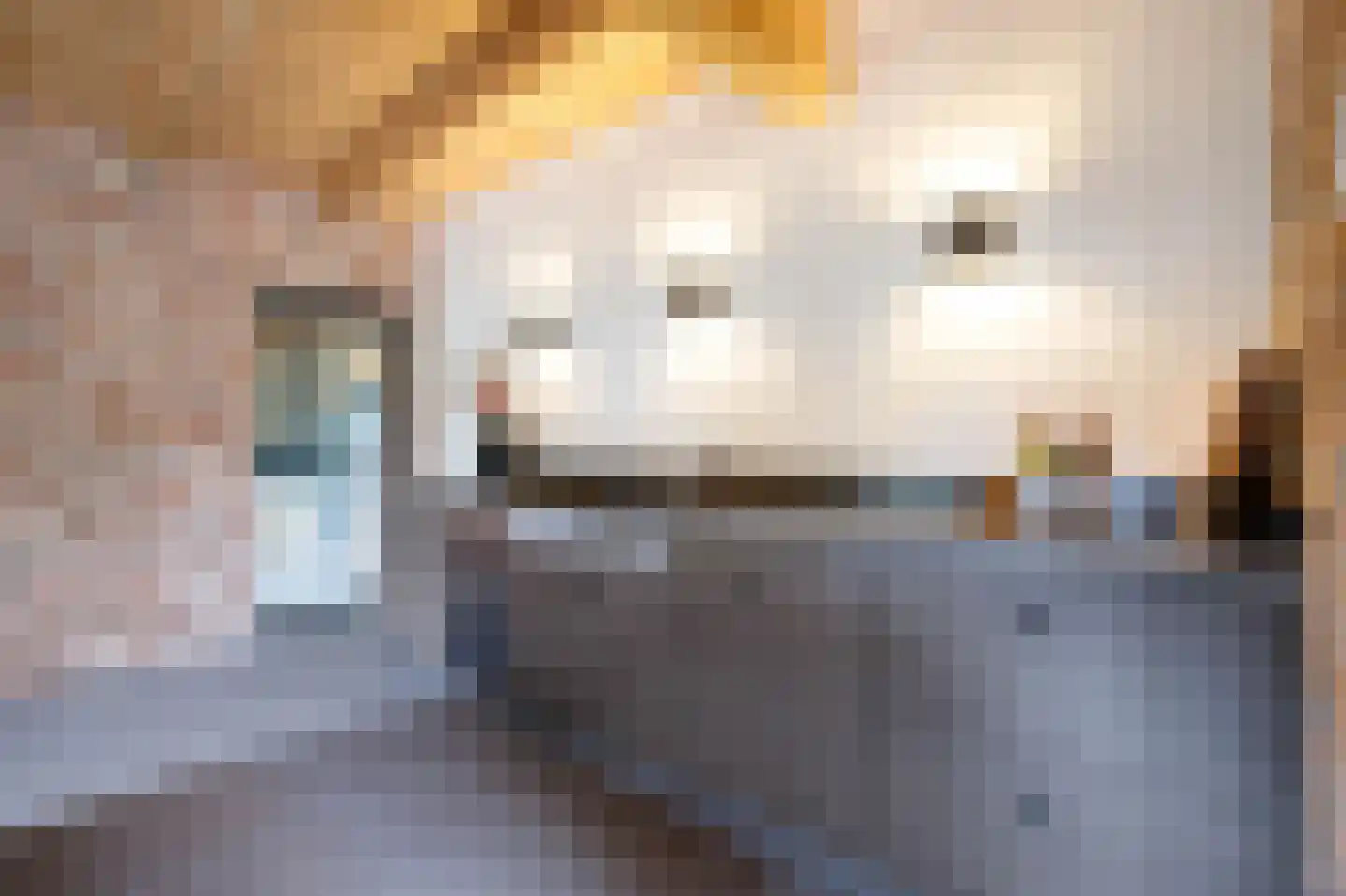 C.G. Roosweg 14 Schoonhoven thumbnail 48