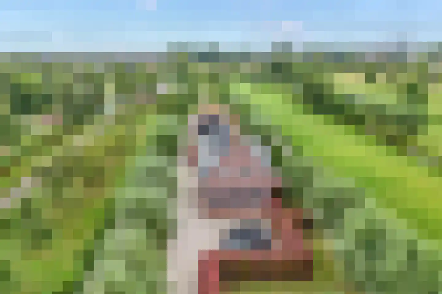 C.G. Roosweg 14 Schoonhoven thumbnail 5
