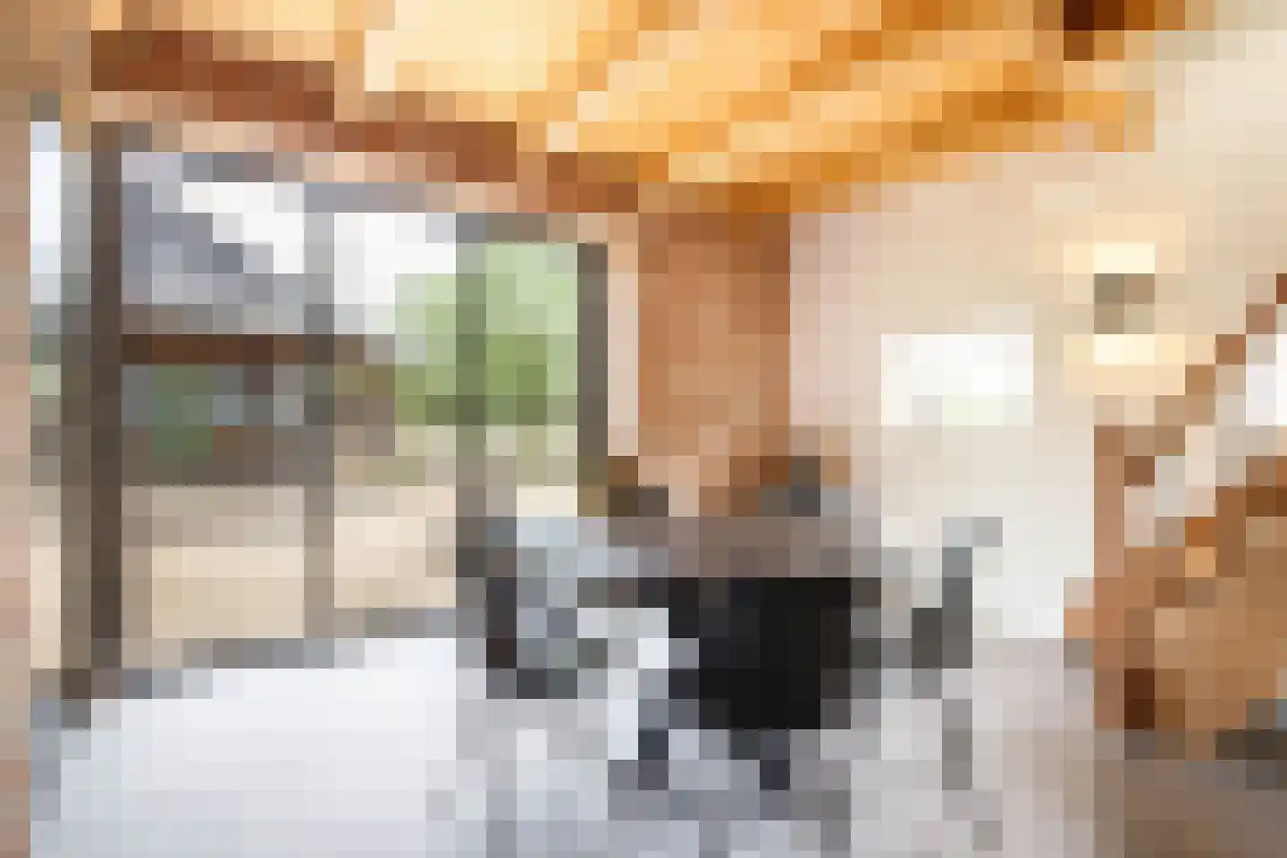 C.G. Roosweg 14 Schoonhoven thumbnail 50