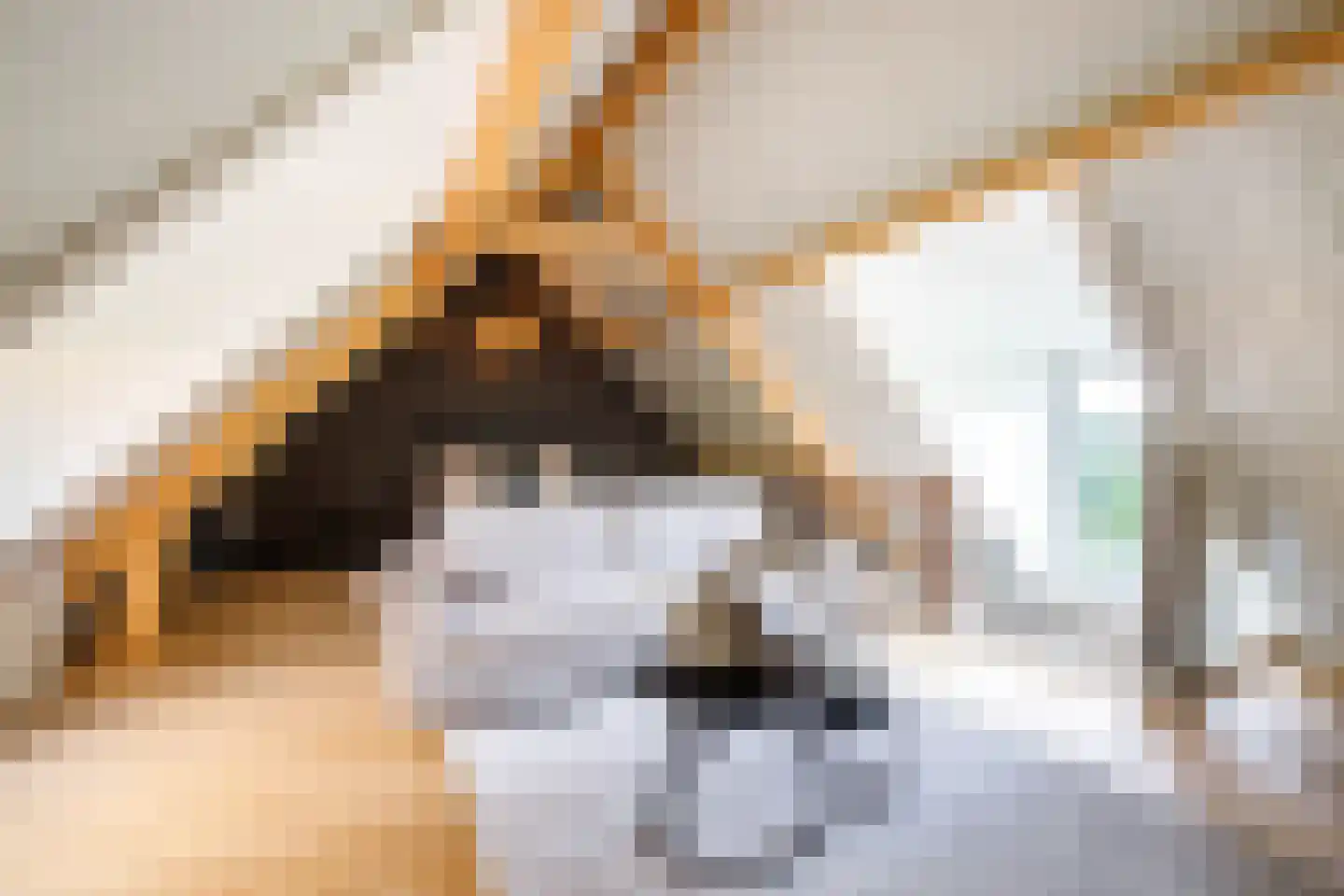 C.G. Roosweg 14 Schoonhoven thumbnail 53