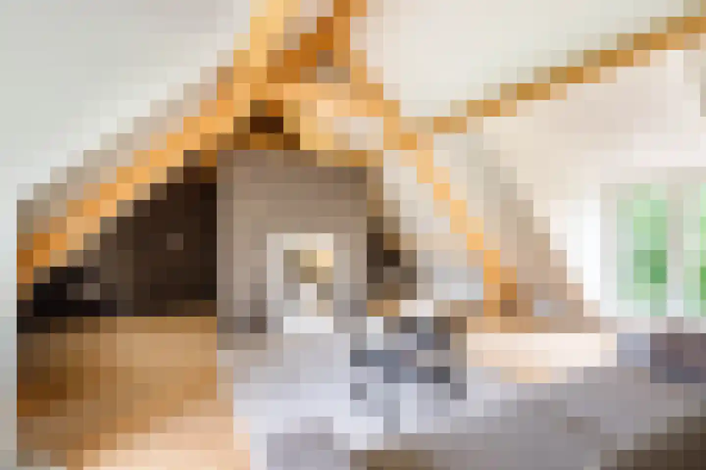 C.G. Roosweg 14 Schoonhoven thumbnail 55