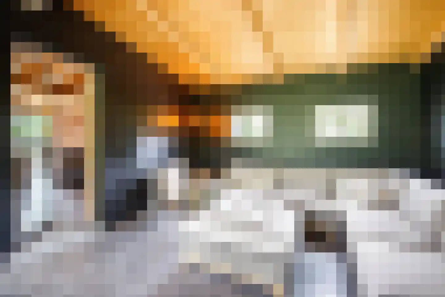 C.G. Roosweg 14 Schoonhoven thumbnail 57
