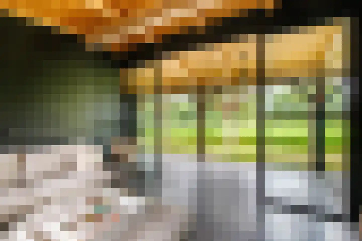 C.G. Roosweg 14 Schoonhoven thumbnail 58