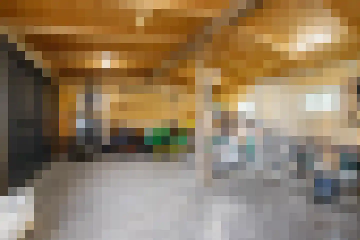 C.G. Roosweg 14 Schoonhoven thumbnail 61