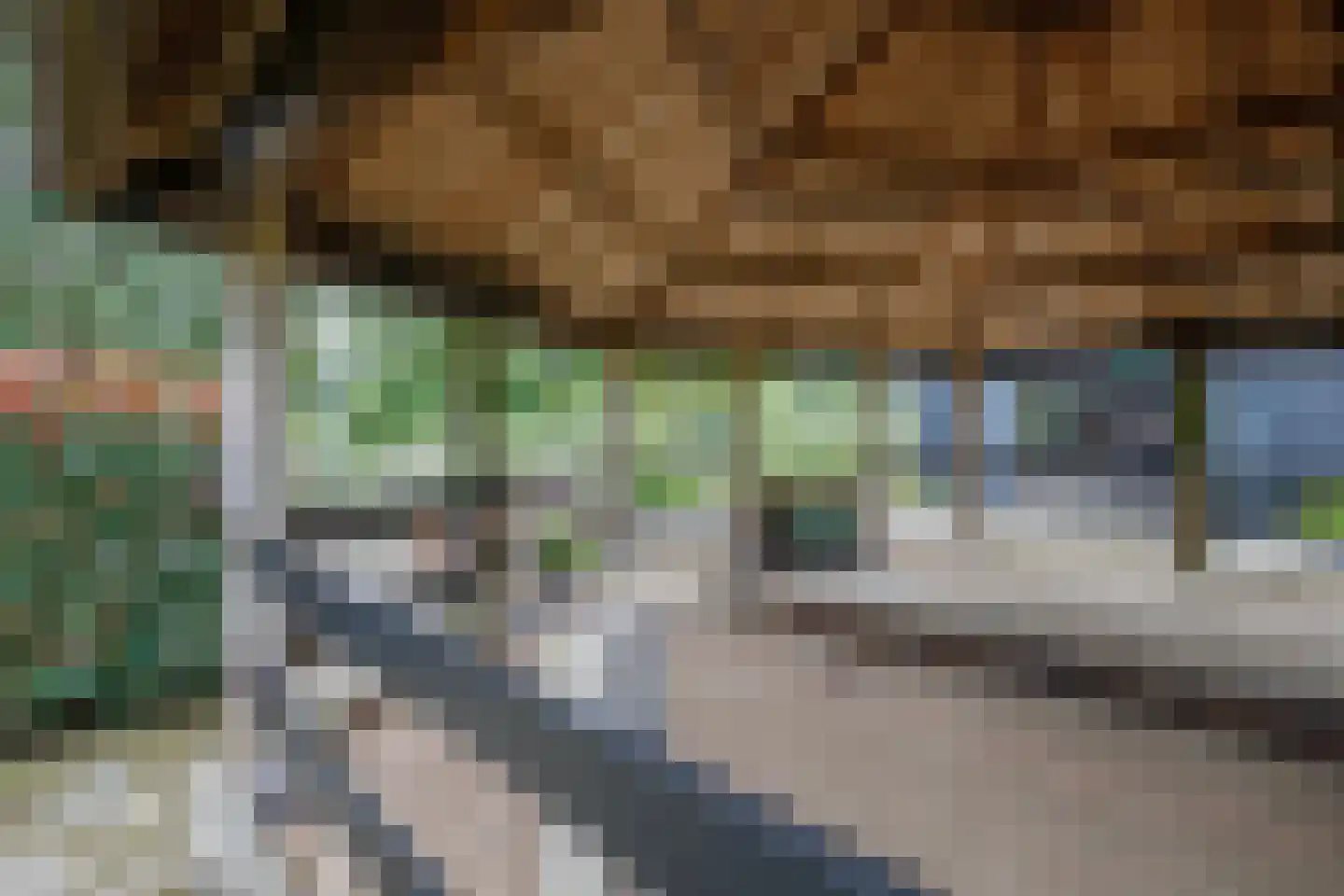 C.G. Roosweg 14 Schoonhoven thumbnail 63