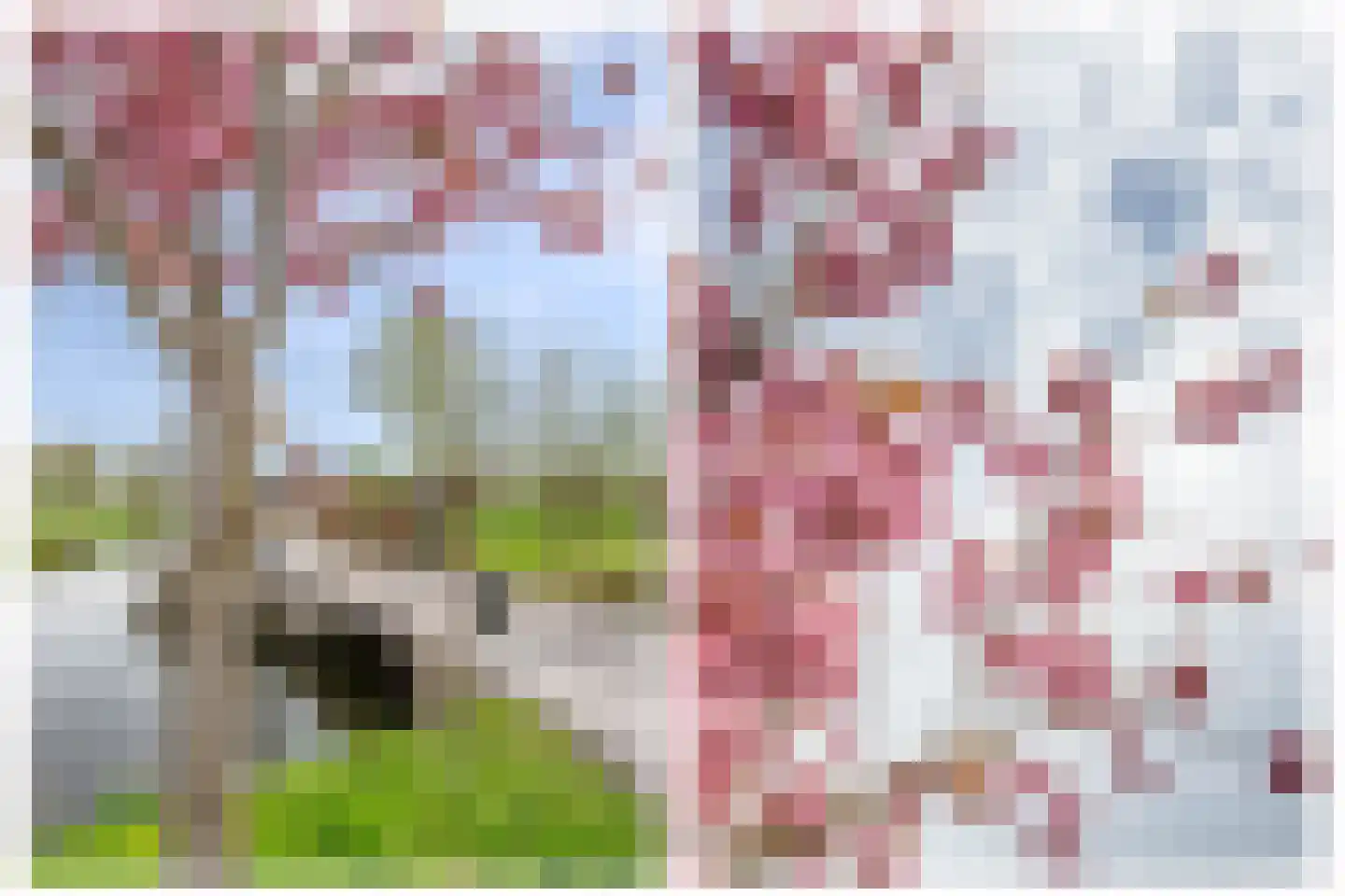 C.G. Roosweg 14 Schoonhoven thumbnail 67