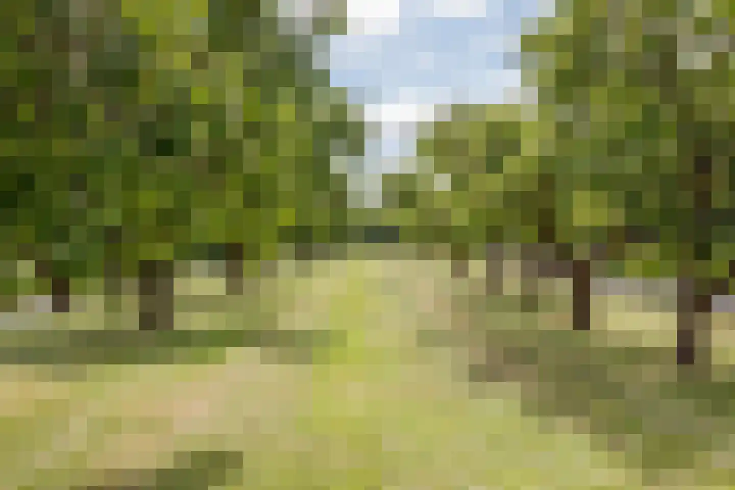 C.G. Roosweg 14 Schoonhoven thumbnail 70