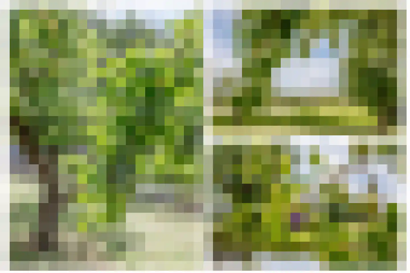 C.G. Roosweg 14 Schoonhoven thumbnail 72