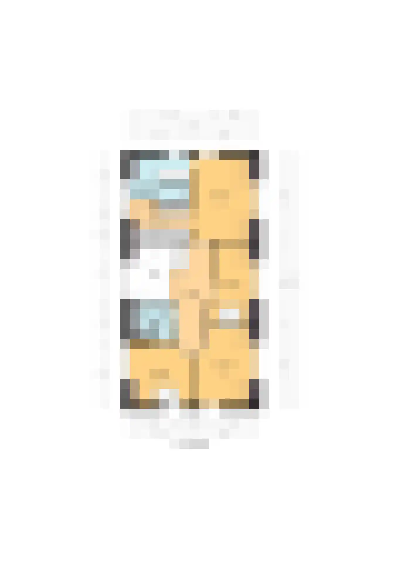 C.G. Roosweg 14 Schoonhoven thumbnail 76