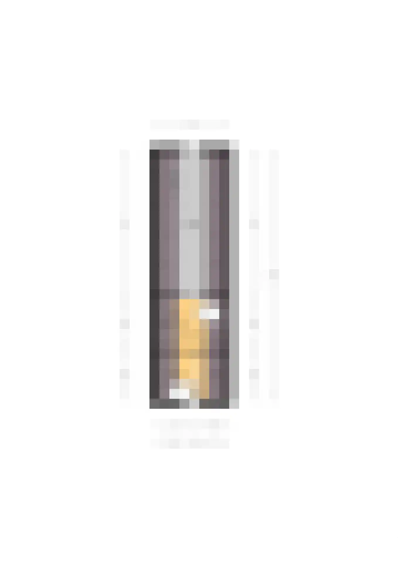 C.G. Roosweg 14 Schoonhoven thumbnail 77