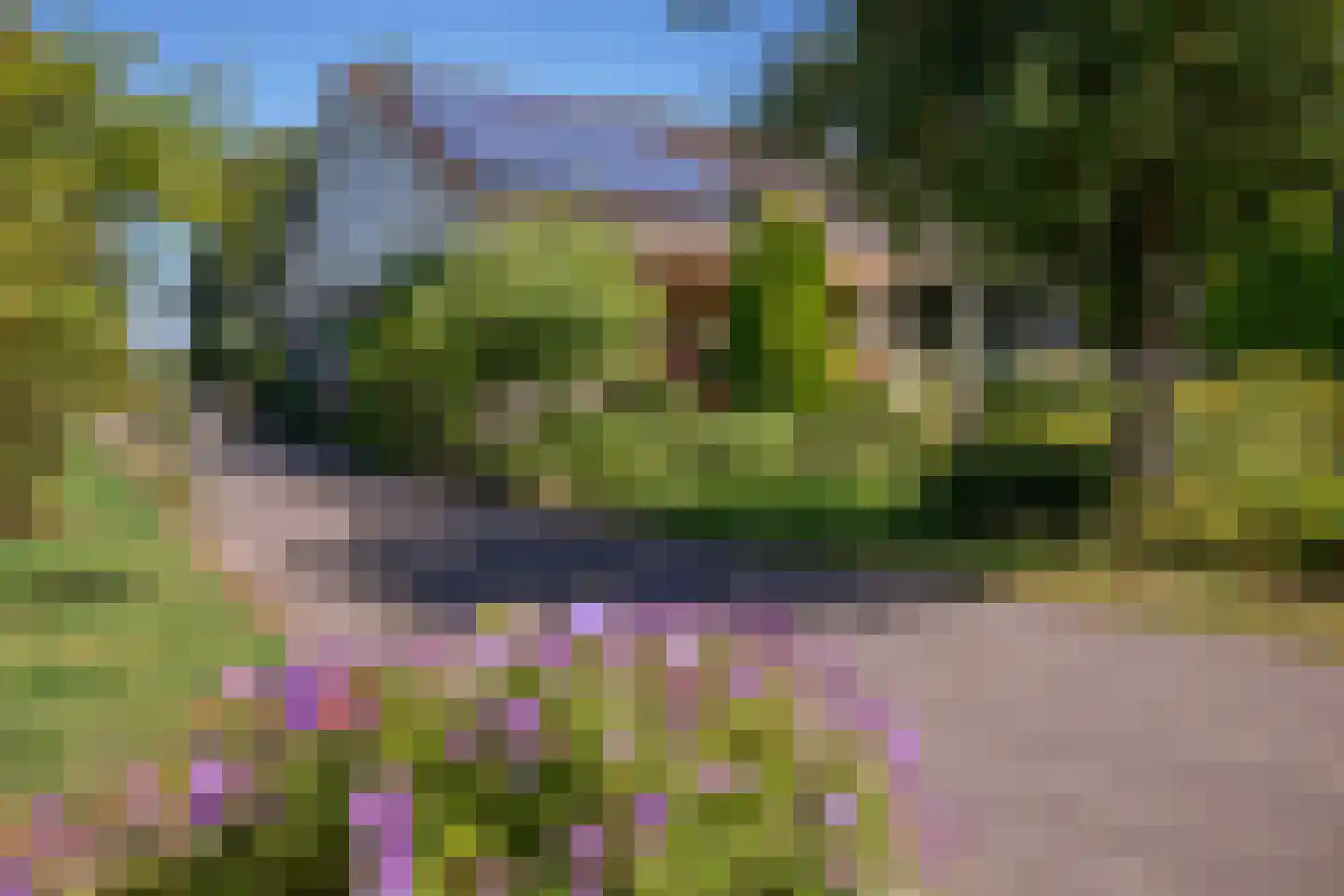 C.G. Roosweg 22 a Schoonhoven thumbnail 12