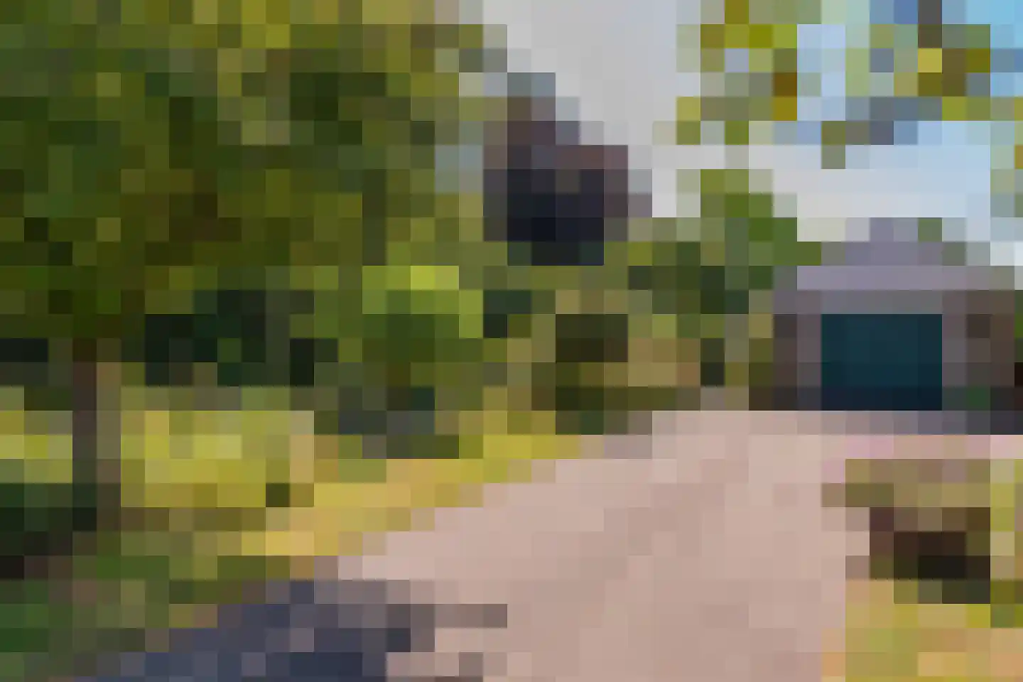 C.G. Roosweg 22 a Schoonhoven thumbnail 14