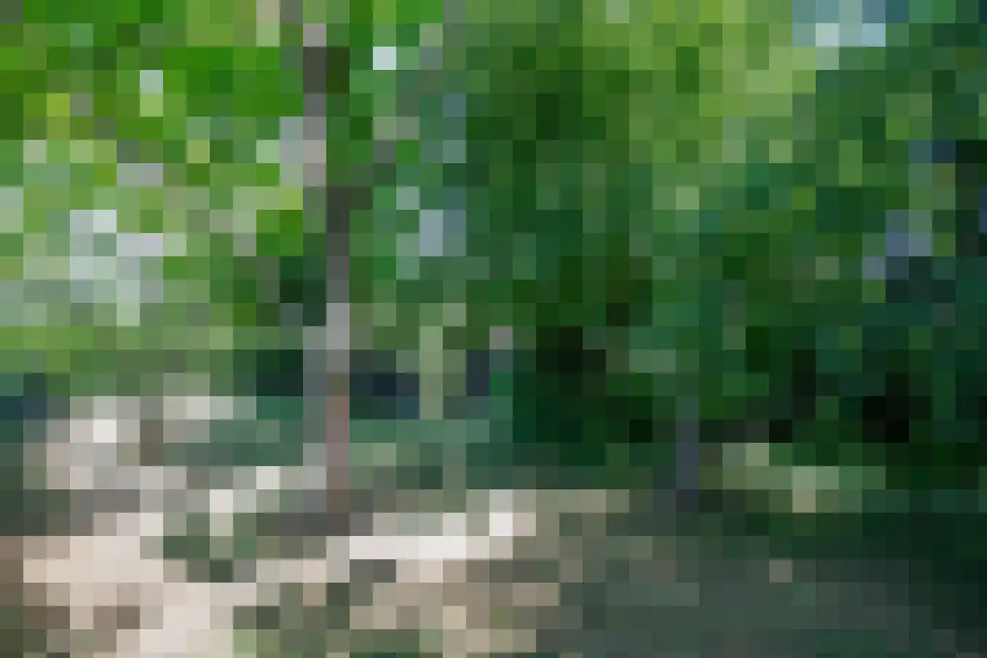 C.G. Roosweg 22 a Schoonhoven thumbnail 17