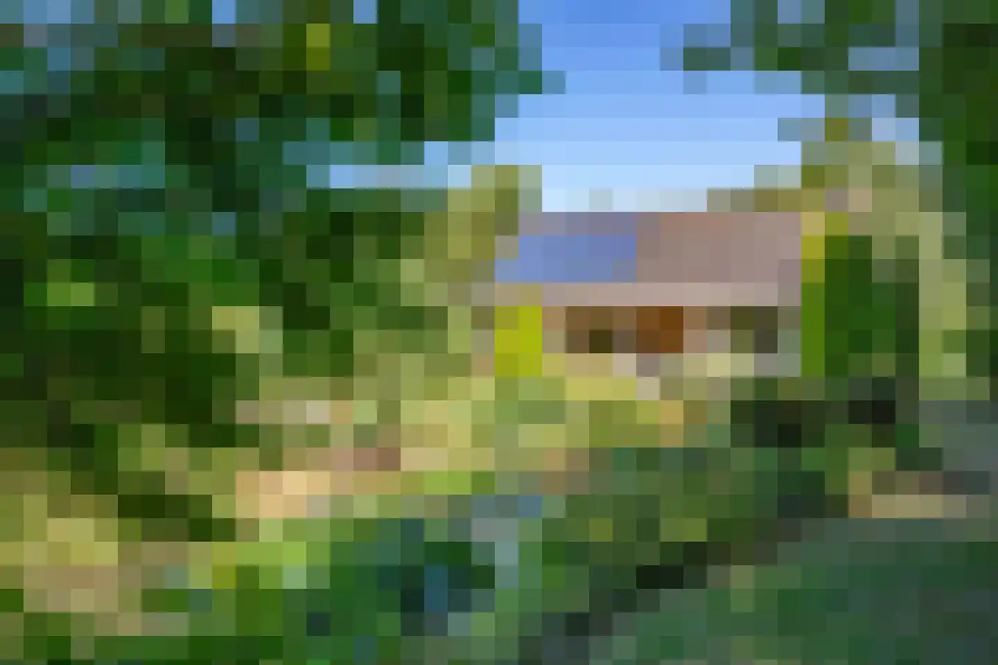 C.G. Roosweg 22 a Schoonhoven thumbnail 18