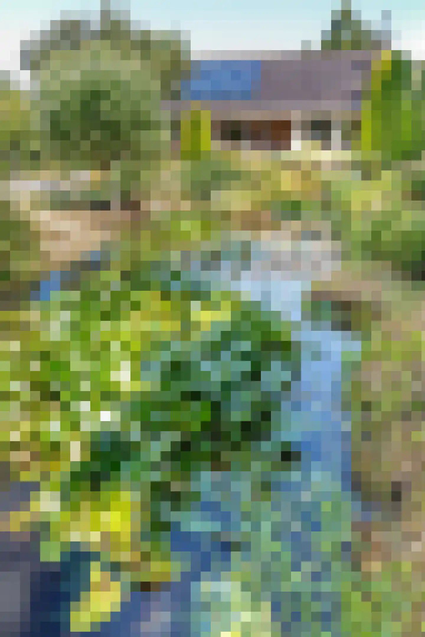 C.G. Roosweg 22 a Schoonhoven thumbnail 20