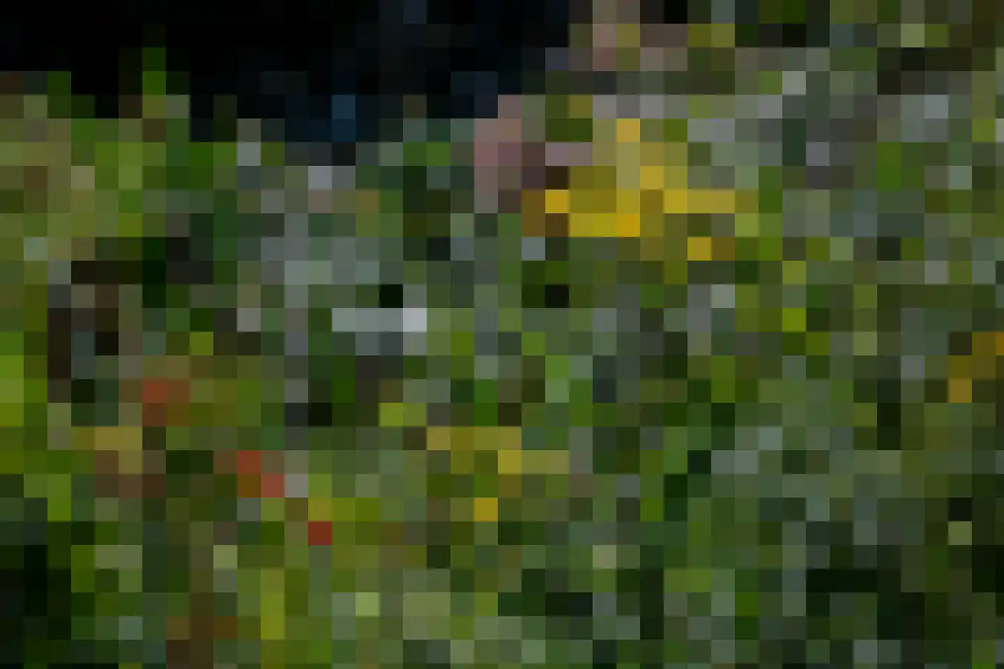 C.G. Roosweg 22 a Schoonhoven thumbnail 23