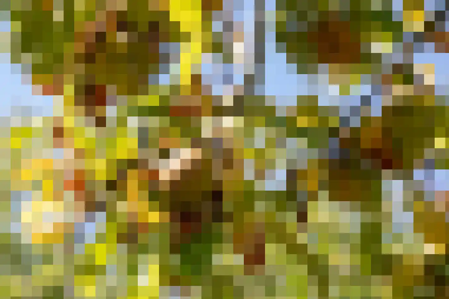 C.G. Roosweg 22 a Schoonhoven thumbnail 24