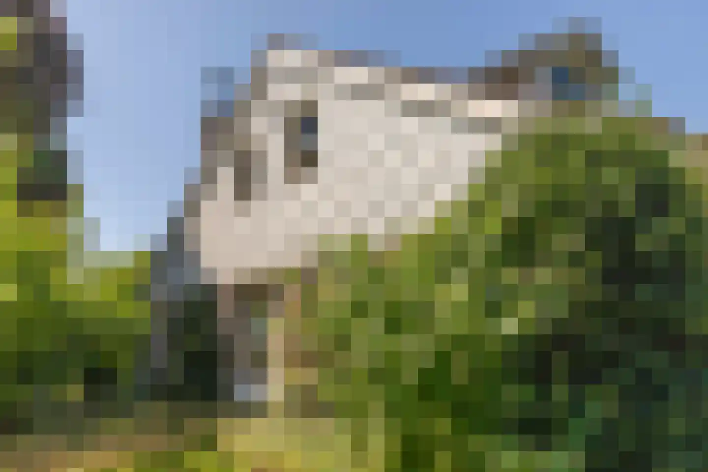 C.G. Roosweg 22 a Schoonhoven thumbnail 32