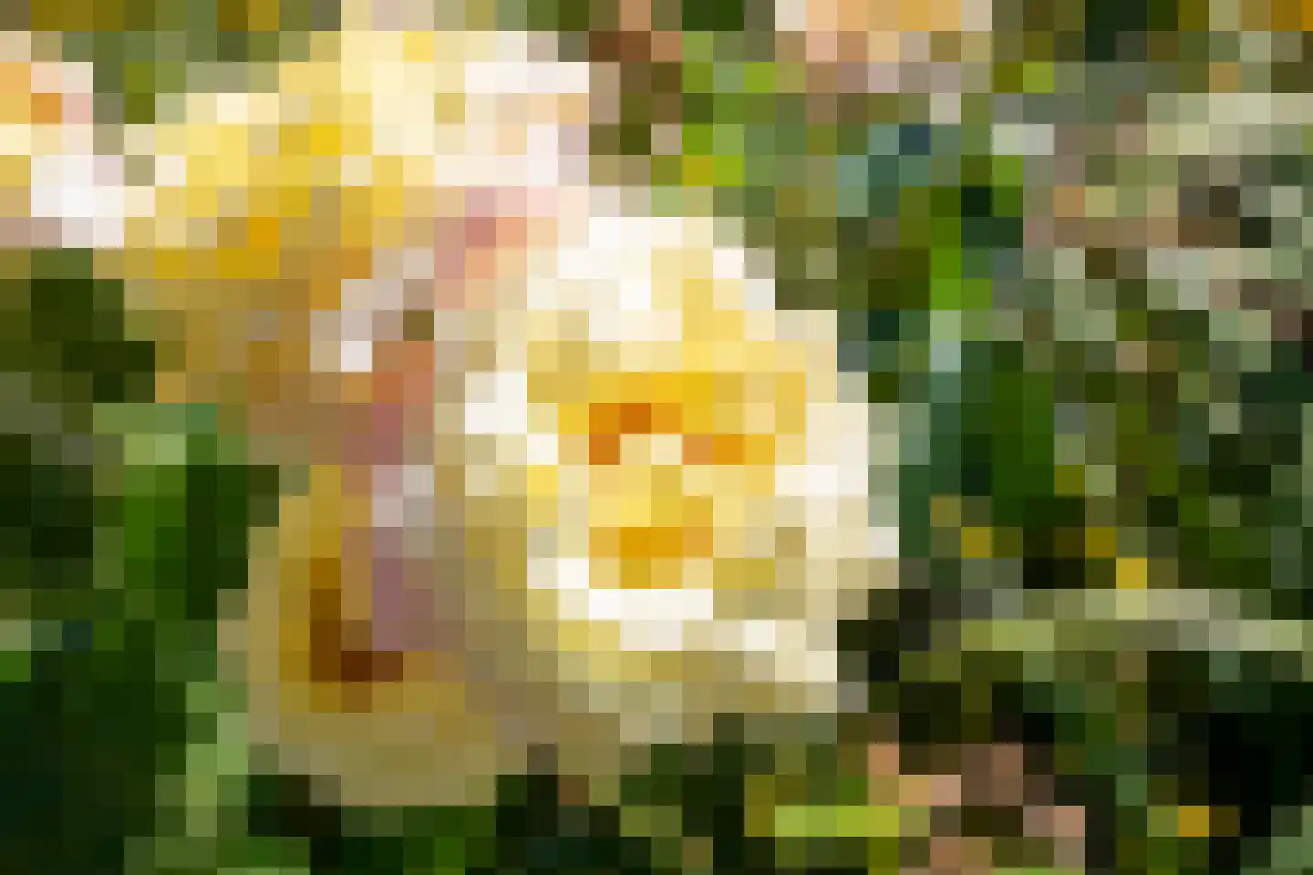 C.G. Roosweg 22 a Schoonhoven thumbnail 33