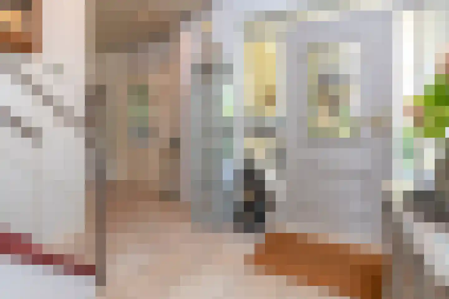 C.G. Roosweg 22 a Schoonhoven thumbnail 36