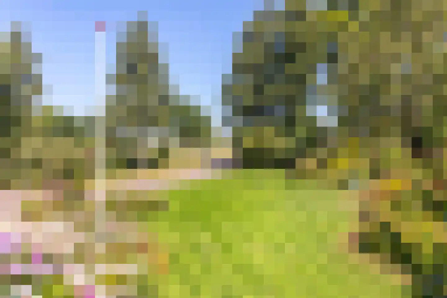 C.G. Roosweg 22 a Schoonhoven thumbnail 5