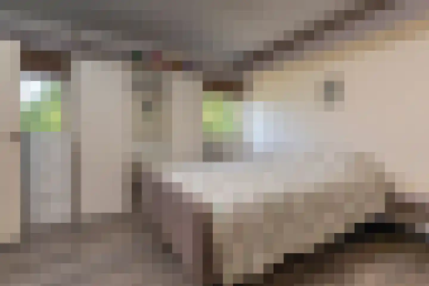 C.G. Roosweg 22 a Schoonhoven thumbnail 55