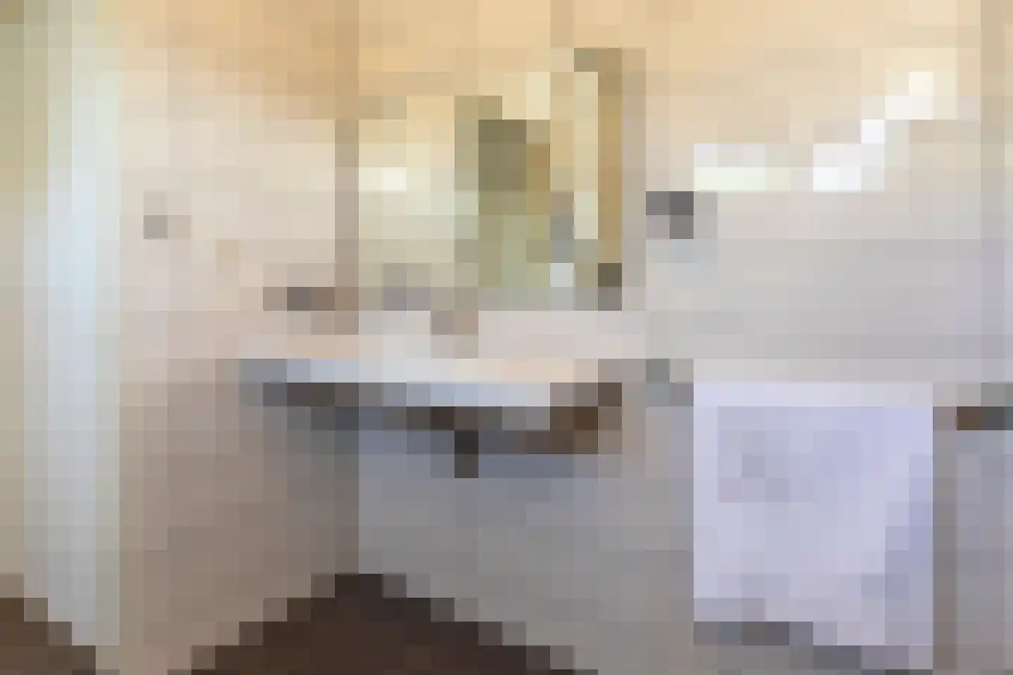 C.G. Roosweg 22 a Schoonhoven thumbnail 59
