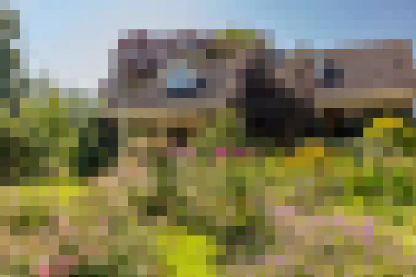 C.G. Roosweg 22 a Schoonhoven thumbnail 6
