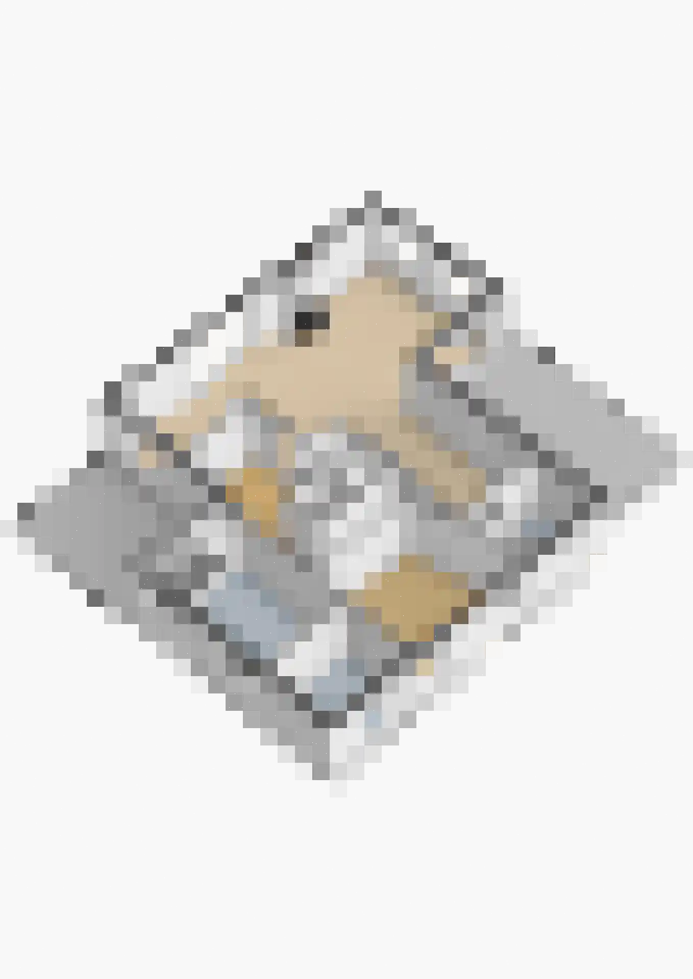 C.G. Roosweg 22 a Schoonhoven thumbnail 80