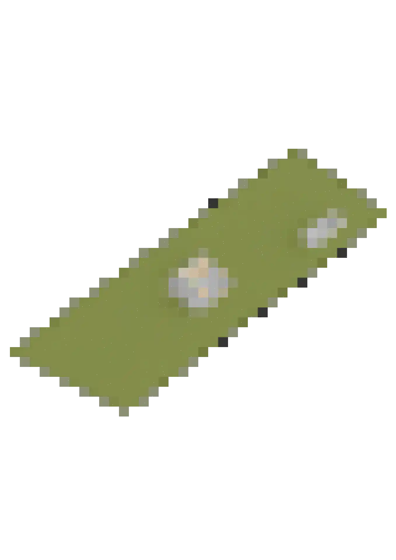 C.G. Roosweg 22 a Schoonhoven thumbnail 86