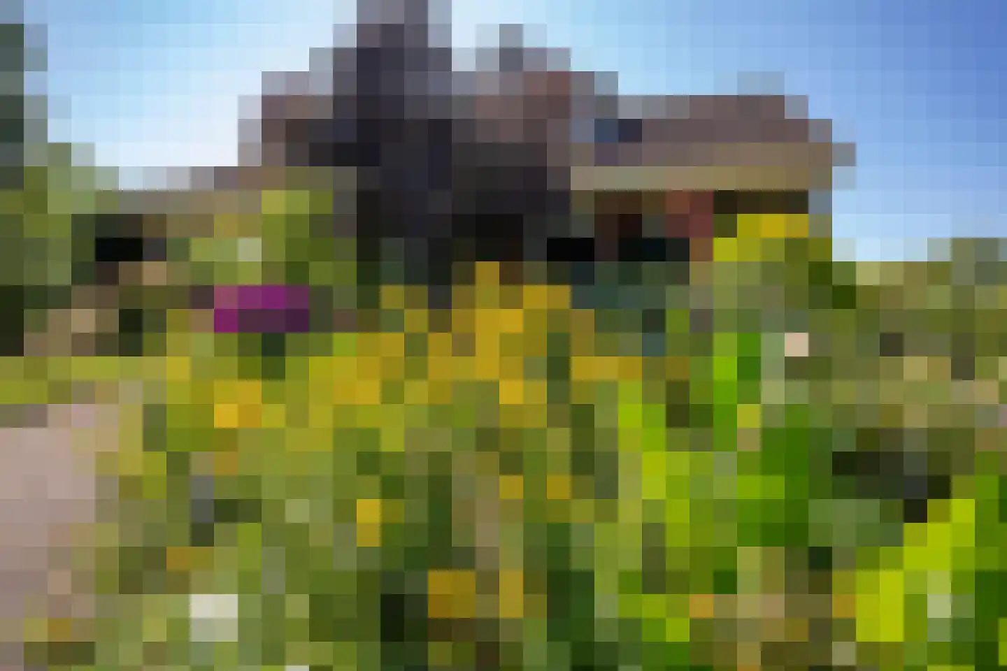 C.G. Roosweg 22 a Schoonhoven thumbnail 9