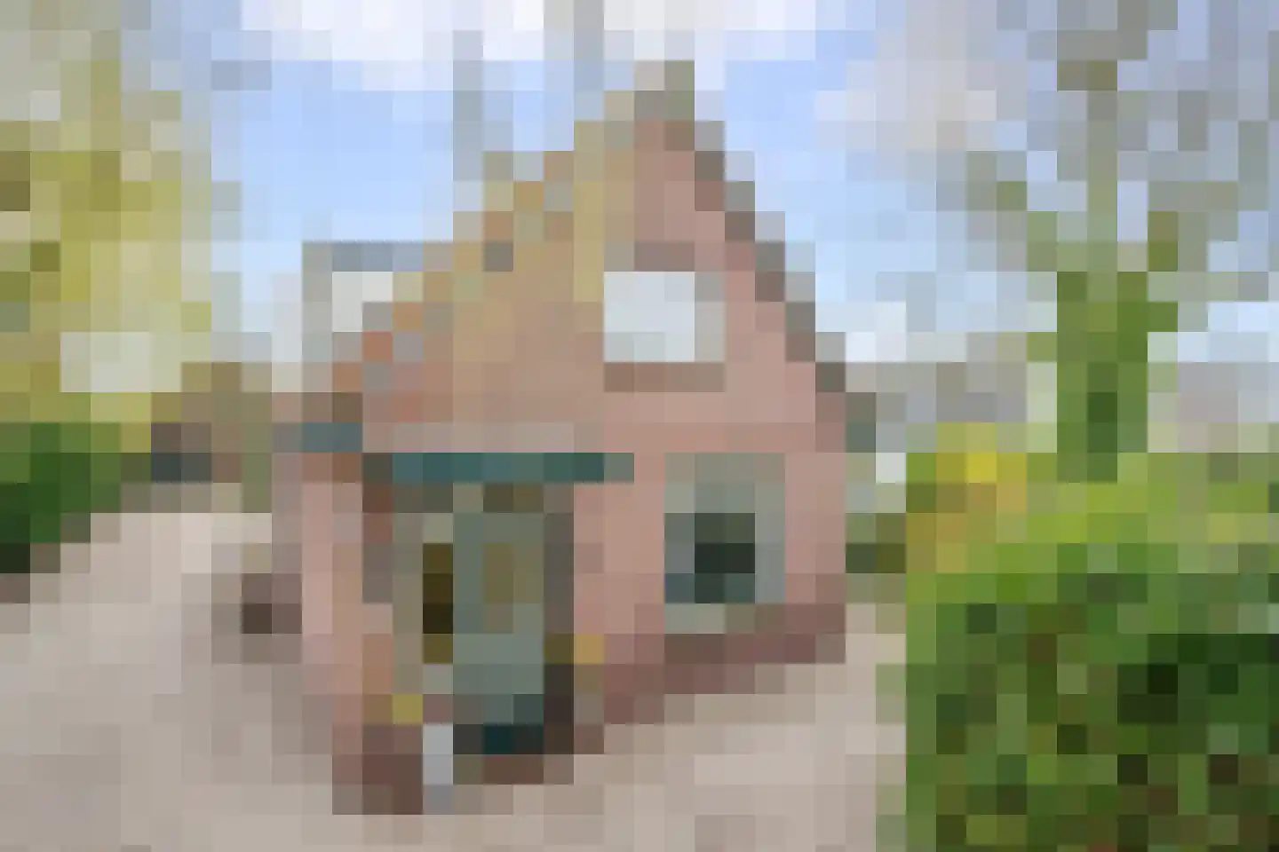 C.G. Roosweg 26 Schoonhoven