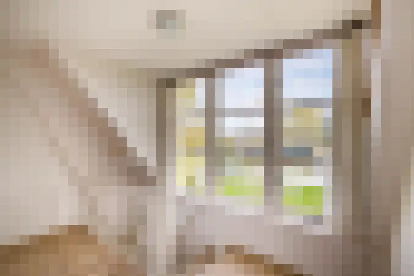 C.G. Roosweg 26 Schoonhoven thumbnail 21