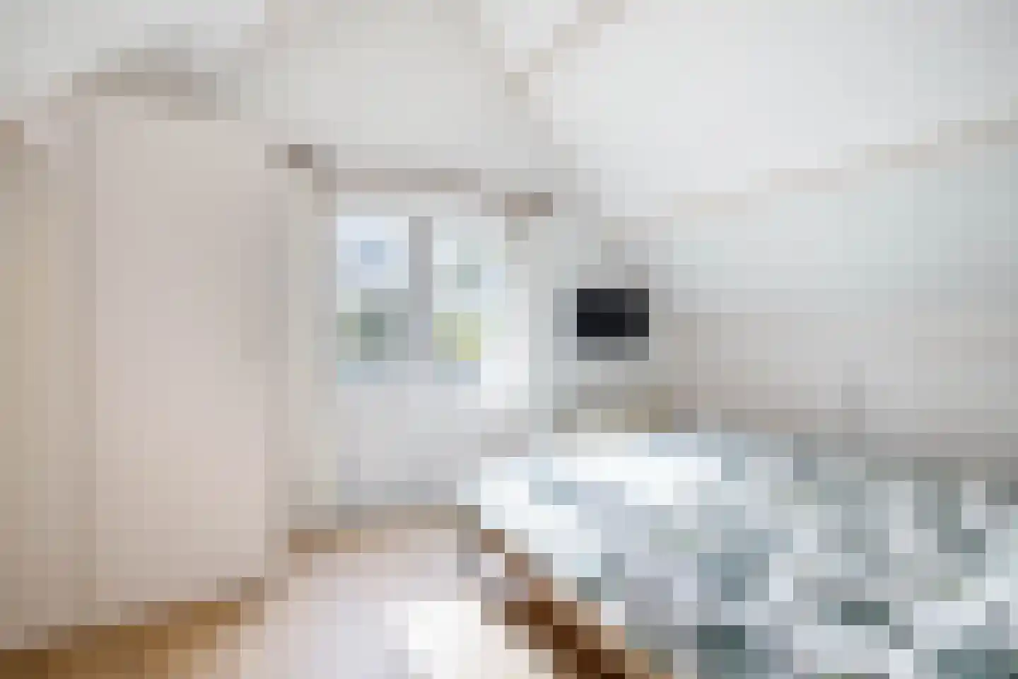 C.G. Roosweg 26 Schoonhoven thumbnail 29