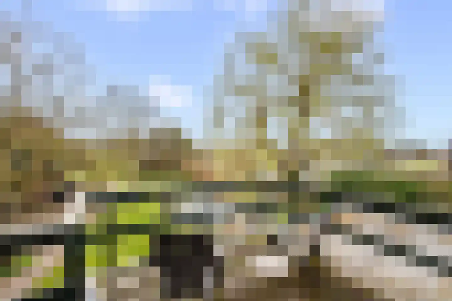 C.G. Roosweg 26 Schoonhoven thumbnail 32