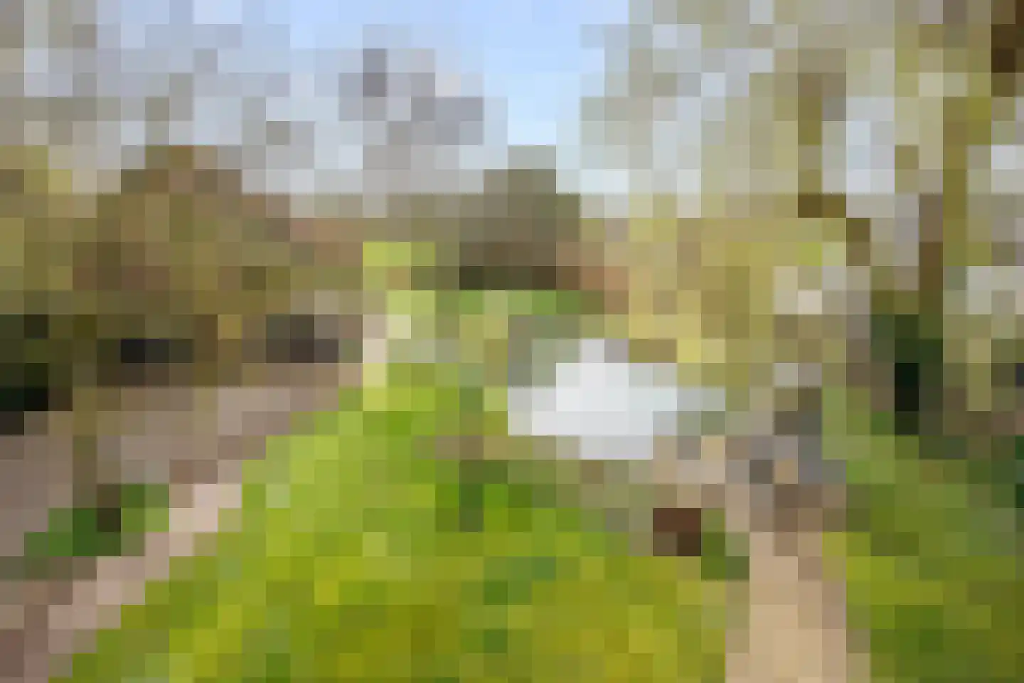 C.G. Roosweg 26 Schoonhoven thumbnail 33