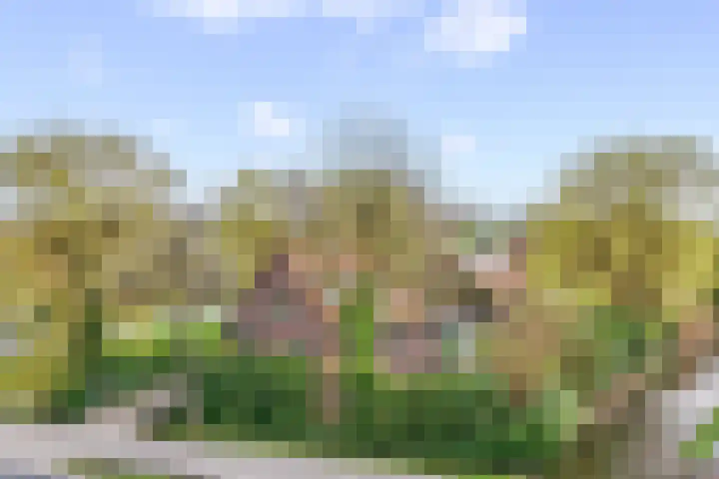 C.G. Roosweg 26 Schoonhoven thumbnail 47
