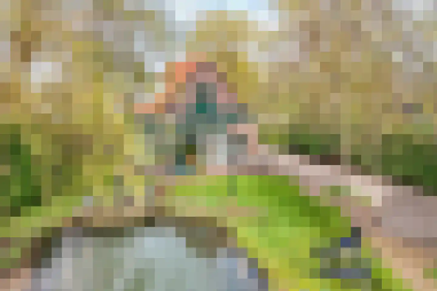 C.G. Roosweg 26 Schoonhoven thumbnail 48