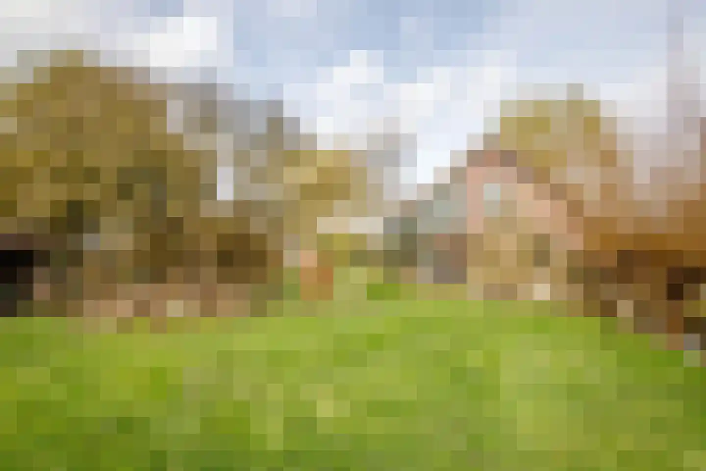 C.G. Roosweg 26 Schoonhoven thumbnail 53