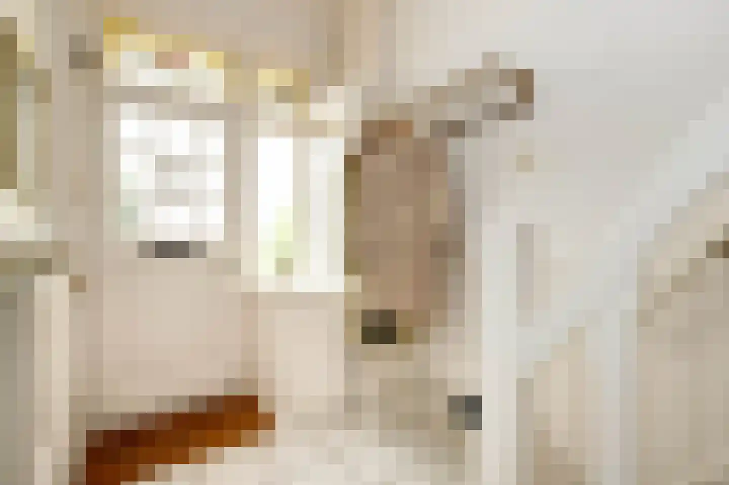 C.G. Roosweg 26 Schoonhoven thumbnail 6