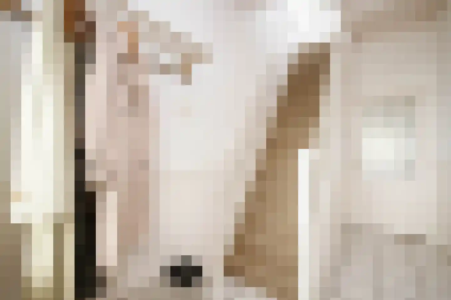 C.G. Roosweg 26 Schoonhoven thumbnail 7