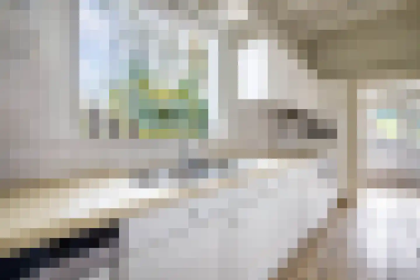 C.G. Roosweg 26 Schoonhoven thumbnail 9