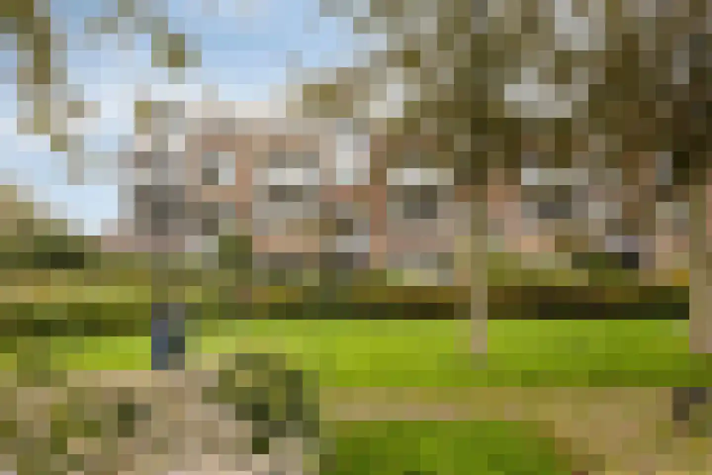 C.H. Moensstraat 41 Beverwijk thumbnail 28